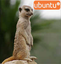 ubuntu, kubuntu